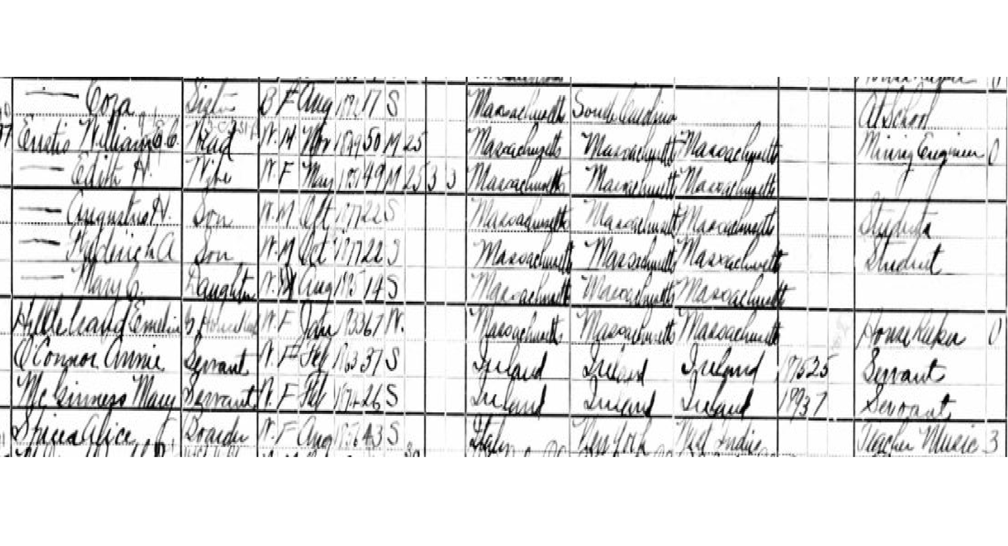 Close up census page with names, family status, race, gender, age, birth place, parents' birth places and occupation.