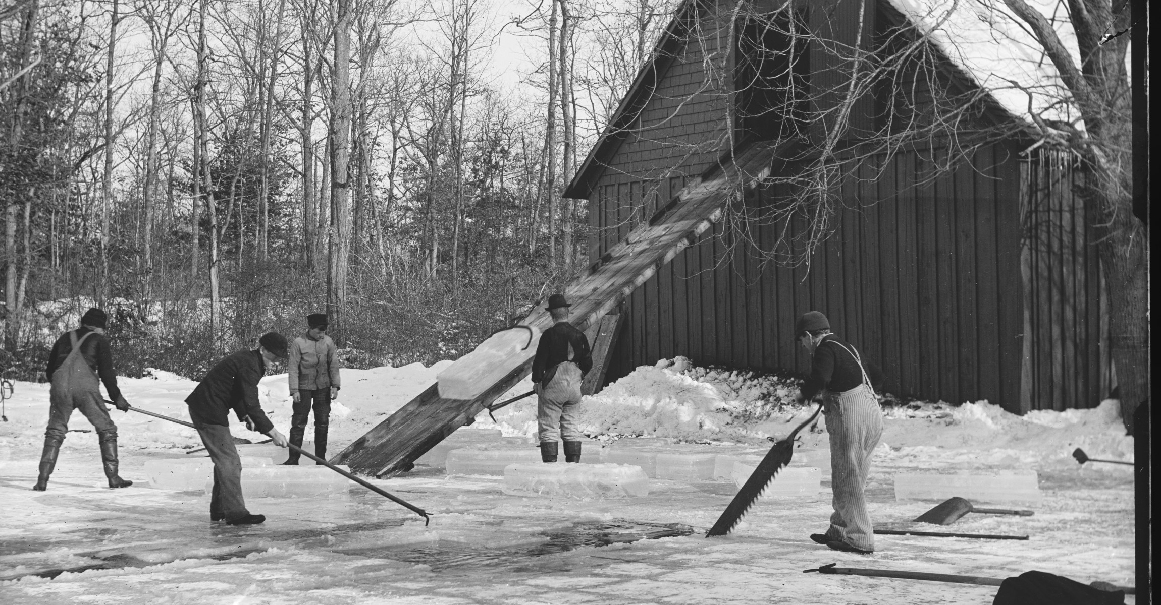 Black and white photograph of five men standing on a frozen pond cutting blocks of ice. A large block of ice rests on a ramp going into a wooden building.