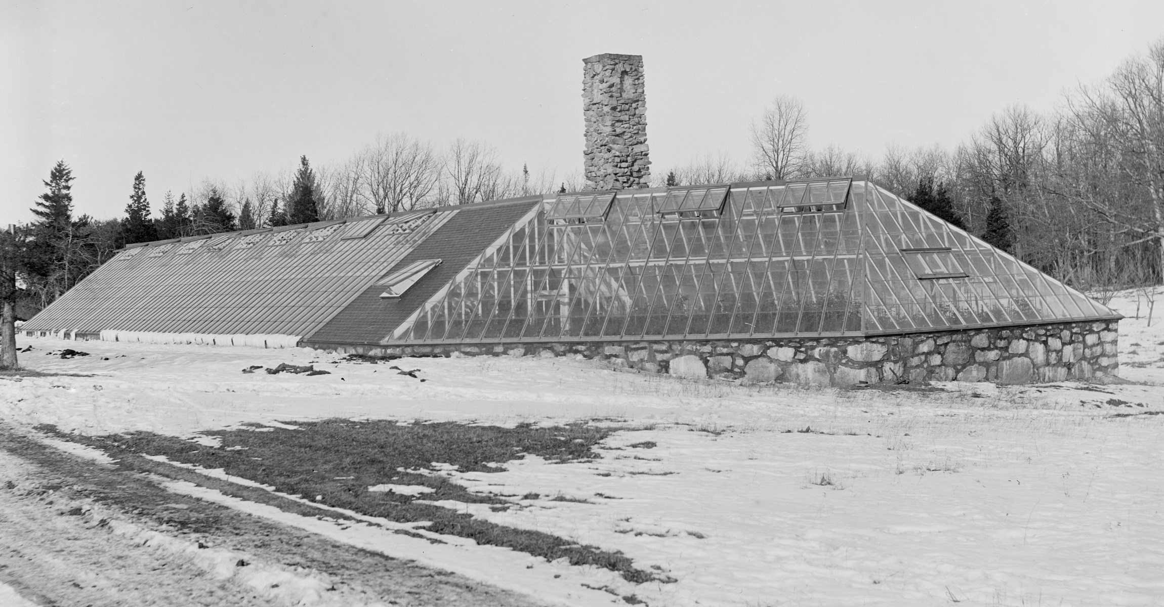 Black and white photograph of back side of greenhouse showing slanted glass roof coming all the way down to snow covered ground.
